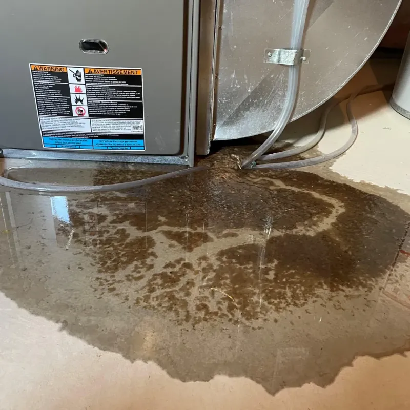 Appliance Leak Cleanup in Thomas County, KS